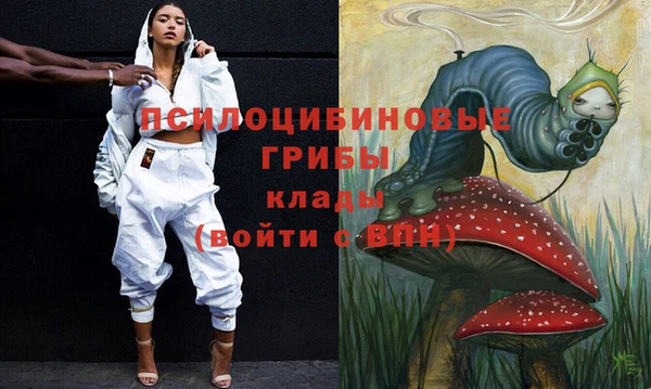 не бодяженный Снежногорск