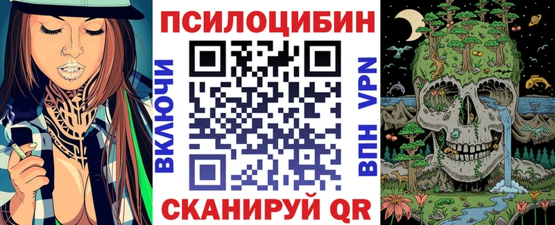 Псилоцибиновые грибы прущие грибы где можно купить наркотик Курчалой